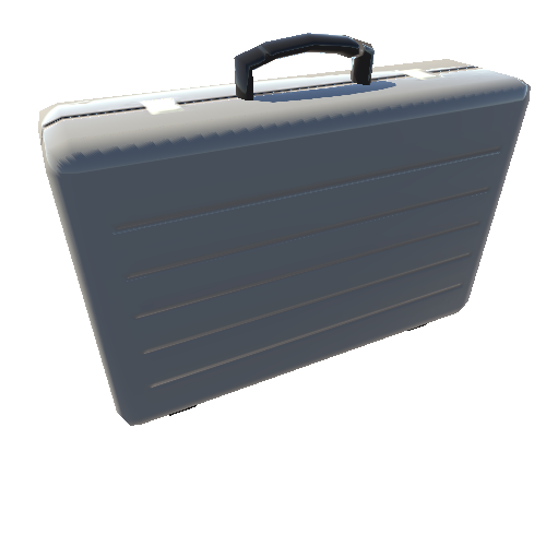 Suitcase Silver